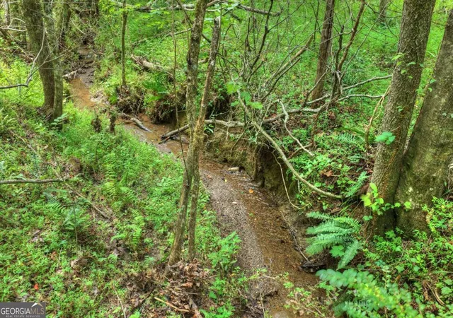 Photo 3 of Land for sale at 0 Scots Glen Rd, Mineral Bluff, GA 30559 | MLS# 10804408 | Listing updated on 2026-10-07