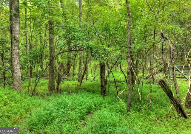 Photo 4 of Land for sale at 0 Scots Glen Rd, Mineral Bluff, GA 30559 | MLS# 10804408 | Listing updated on 2026-10-07