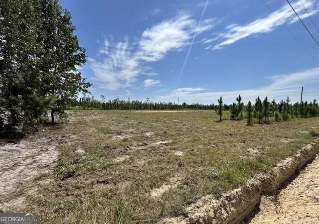 1st image of 2096 Sellers Rd Nw, Baxley, GA 31513 | MLS# 10831039