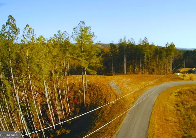 1st image of Lot 133 River Reach Ln, Talking Rock, GA 30175 | MLS# 10409654