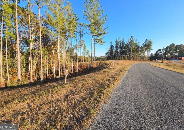 2nd image of Lot 133 River Reach Ln, Talking Rock, GA 30175 | MLS# 10409654