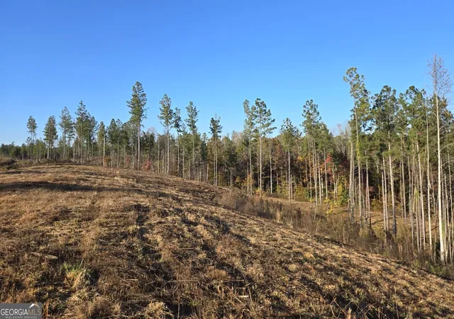 3rd image of Lot 133 River Reach Ln, Talking Rock, GA 30175 | MLS# 10409654