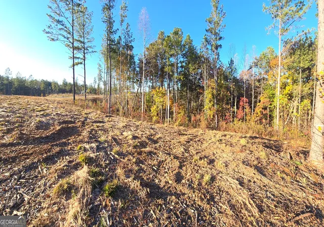 4th image of Lot 133 River Reach Ln, Talking Rock, GA 30175 | MLS# 10409654