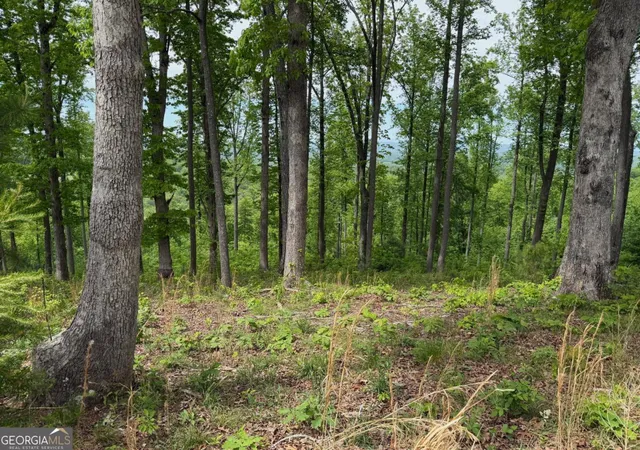 3rd image of Lot 140 Highland Park #140, Blairsville, GA 30512 | MLS# 10768134