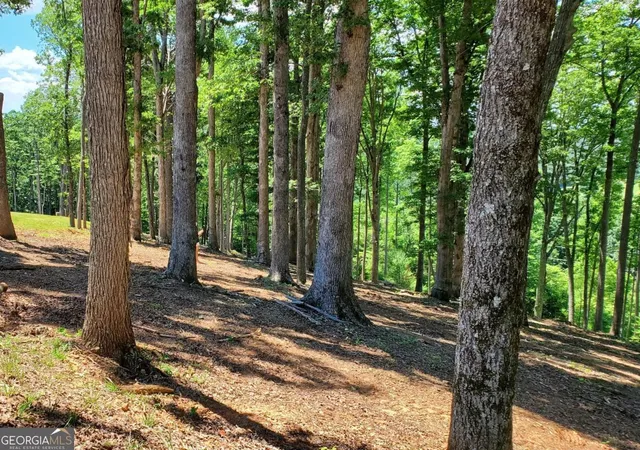 4th image of Lot 140 Highland Park #140, Blairsville, GA 30512 | MLS# 10768134