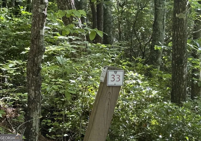 Photo 1 of Land for sale at Lot 33 Fodder Crk Ml Dr, Hiawassee, GA 30546 | MLS# 10778558 | Listing updated on 2026-06-23