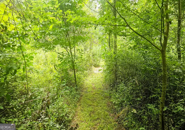 16th image of 0 River Run North, Clayton, GA 30525 | MLS# 10820021