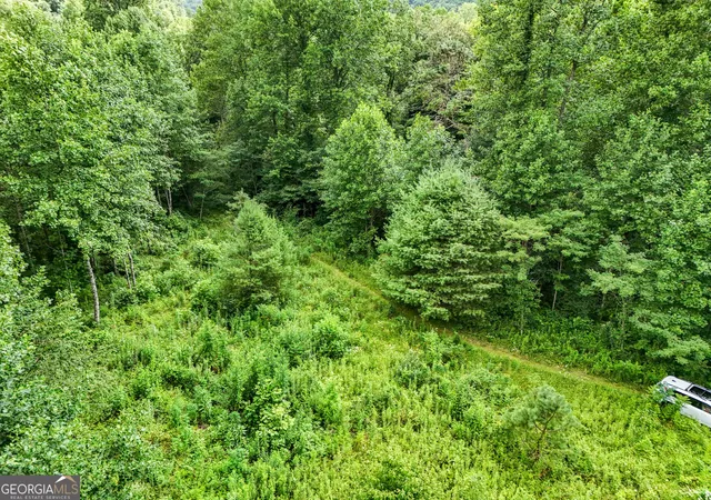5th image of 0 River Run North, Clayton, GA 30525 | MLS# 10820021