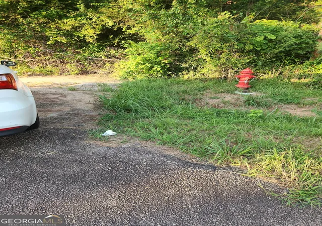 2nd image of 0 W Main Street, Hogansville, GA 30230 | MLS# 10805416