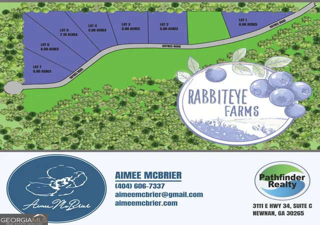 image of Lot 5 Haynes Rd, Moreland, GA 30259 | MLS# 10804438