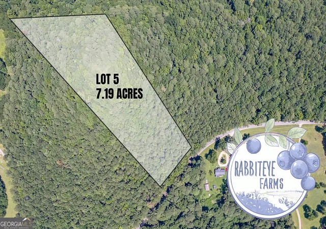 image of Lot 5 Haynes Rd, Moreland, GA 30259 | MLS# 10804438