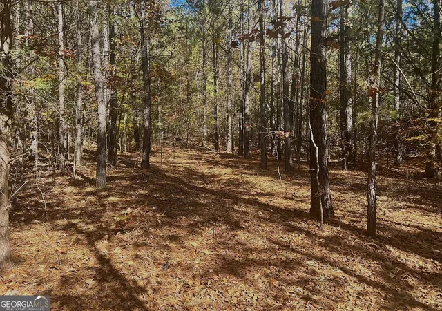 17th image of 1786ac Pine Ridge Dr, Elberton, GA 30635 | MLS# 10828938