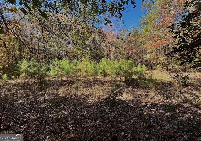 5th image of 1786Ac Pine Ridge Dr, Elberton, GA 30635 | MLS# 10828938