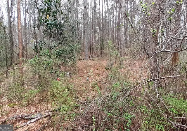 Photo 3 of Land for sale at 100 Lovelace St, Newnan, GA 30263 | MLS# 10648982 | Listing updated on 2025-12-22