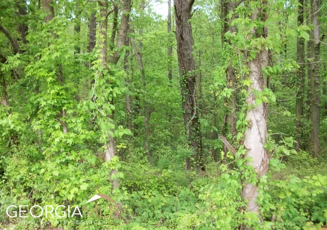 1st image of 635 Nunnally Farm Rd, Monroe, GA 30655 | MLS# 10172864