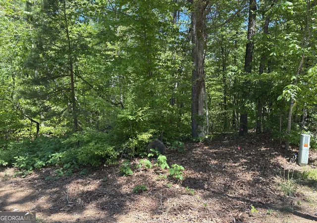 2nd image of Lot 15 Cross Creek Dr, Toccoa, GA 30577 | MLS# 10816408