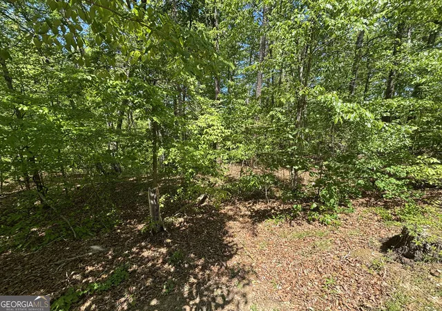 Photo 3 of Land for sale at Lot 15 Cross Crk Dr, Toccoa, GA 30577 | MLS# 10816408 | Listing updated on 2026-08-14