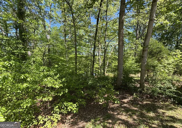 Photo 4 of Land for sale at Lot 15 Cross Crk Dr, Toccoa, GA 30577 | MLS# 10816408 | Listing updated on 2026-08-14