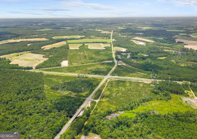 Homes for sale in Register, GA | 0 Hwy 46, Register, GA 30452 | MLS# 10798219