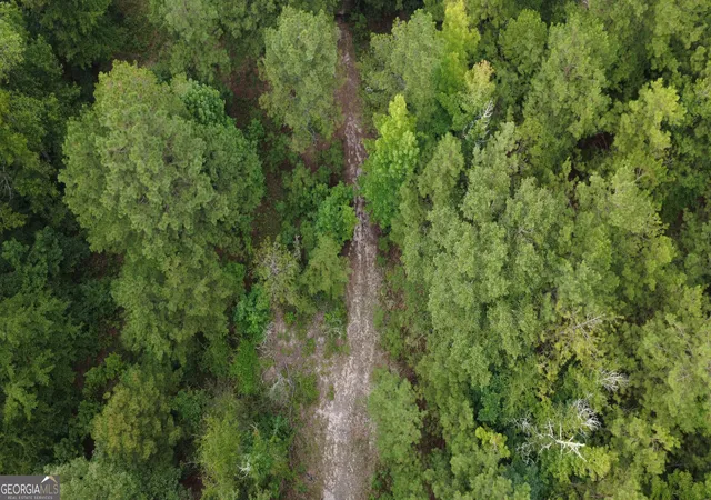Photo 4 of Land for sale at 3825 Masseyville Rd, Macon, GA 31217 | MLS# 10827636 | Listing updated on 2026-08-31