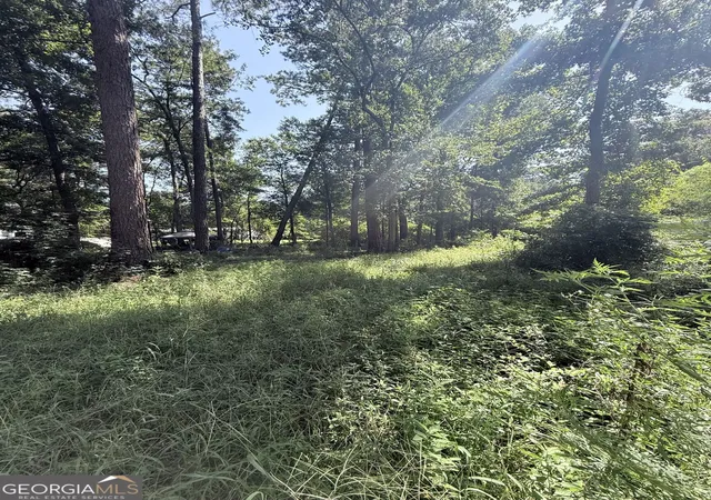 Photo 2 of Land for sale at 409 Dogwood Ln, Midway, GA 31320 | MLS# 10828072 | Listing updated on 2026-09-27