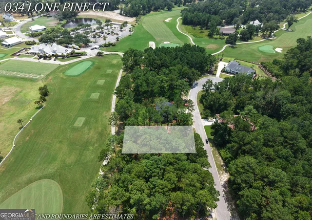 Photo 3 of Land for sale at Lot 34 Lone Pine Ct, Waverly, GA 31565 | MLS# 10818081 | Listing updated on 2026-08-17