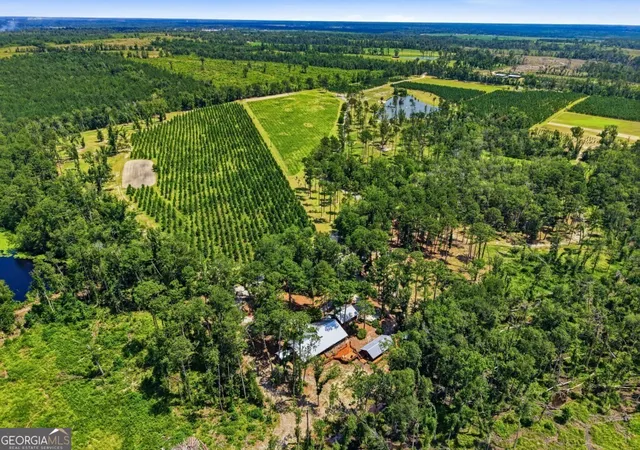 2nd image of 1370 Ga Hwy 56, Mount Vernon, GA 30445 | MLS# 10812294
