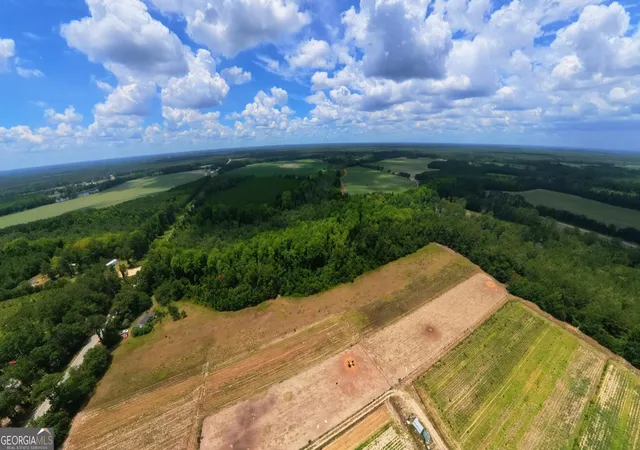 19th image of 10600 Highway 80 E, Brooklet, GA 30415 | MLS# 10808612