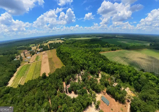 2nd image of 10600 Highway 80 E, Brooklet, GA 30415 | MLS# 10808612