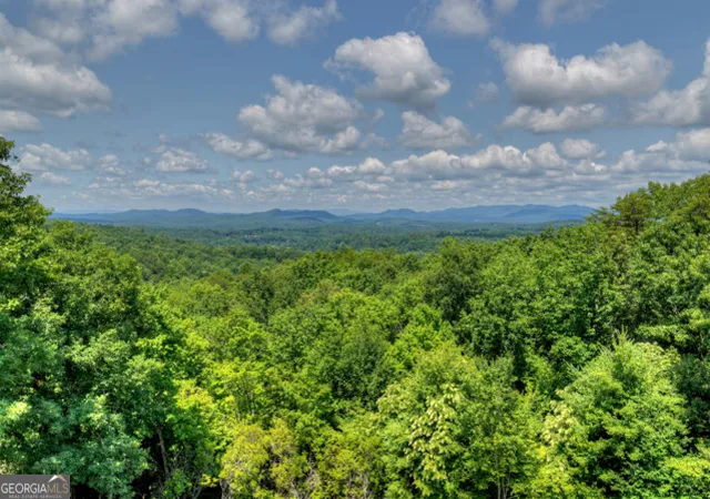 5th image of 46 Sequoya Trl, Blairsville, GA 30512 | MLS# 10796900