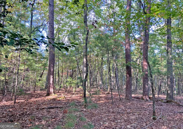 Homes for sale in Dahlonega, GA | 169 Dunns Rd, Dahlonega, GA 30533 | MLS# 10627244