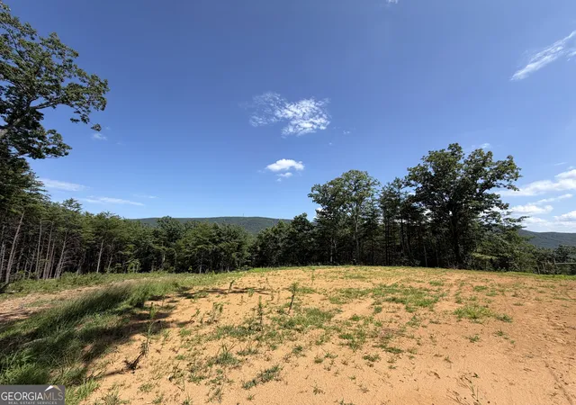 Homes for sale in Rydal, GA | 587 E Valley Road Ne, Rydal, GA 30171 | MLS# 10789600