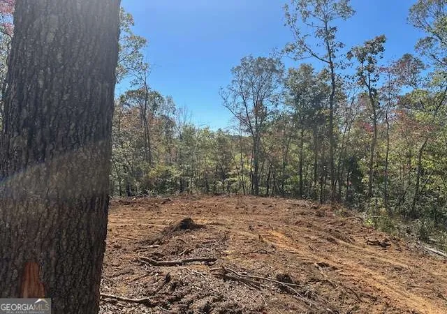 Photo 3 of Land for sale at 371 Yancy Dr, Dawsonville, GA 30534 | MLS# 10835001 | Listing updated on 2026-09-11