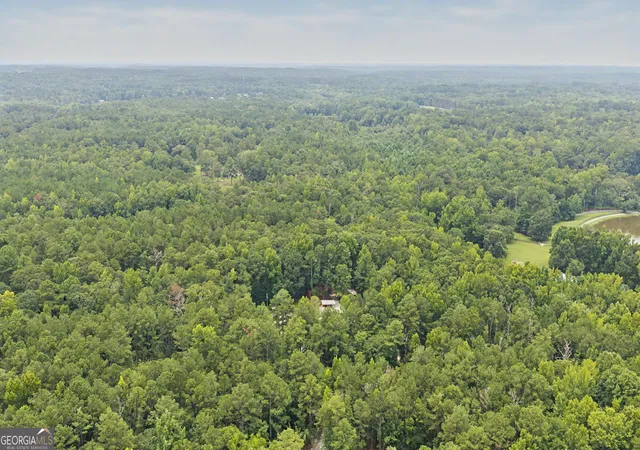 75th image of 331 Clearwater Rd, Sharpsburg, GA 30277 | MLS# 10817804
