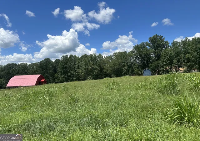 59th image of 4039 Hwy 19 N, Dahlonega, GA 30533 | MLS# 10579119