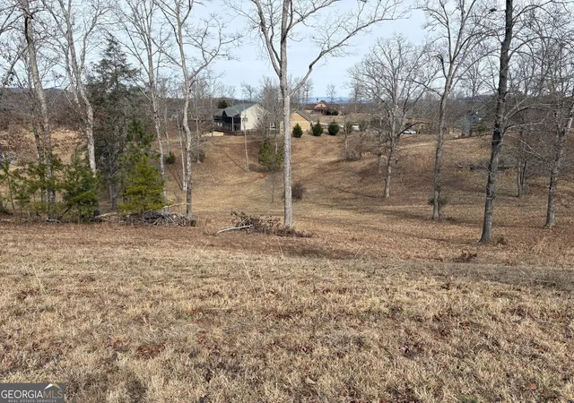 Photo 1 of Land for sale at Lot 29 Hogue Way, Blairsville, GA 30512 | MLS# 10682501 | Listing updated on 2026-09-04
