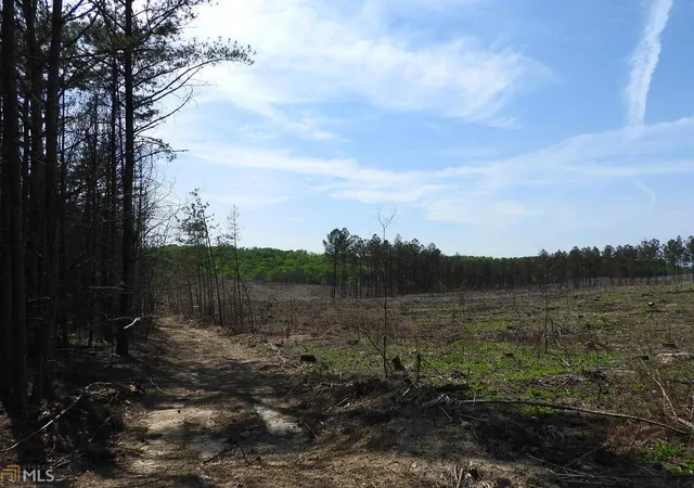 28th image of 0 Griffin Rd #5007, Cartersville, GA 30120 | MLS# 10577578