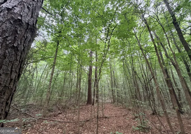 Photo 1 of Sale Pending at 1 Norwood Rd, Hull, GA 30646 | MLS# 10815924 | Listing updated on 2026-08-30