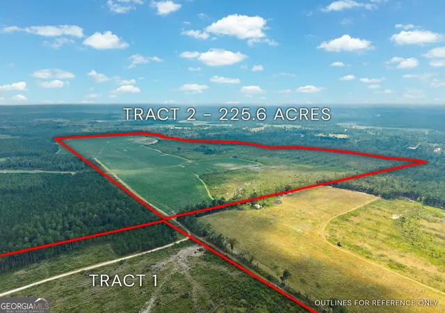 Photo 3 of Land for sale at 0 Hwy 32, Alma, GA 31510 | MLS# 10826259 | Listing updated on 2026-08-28