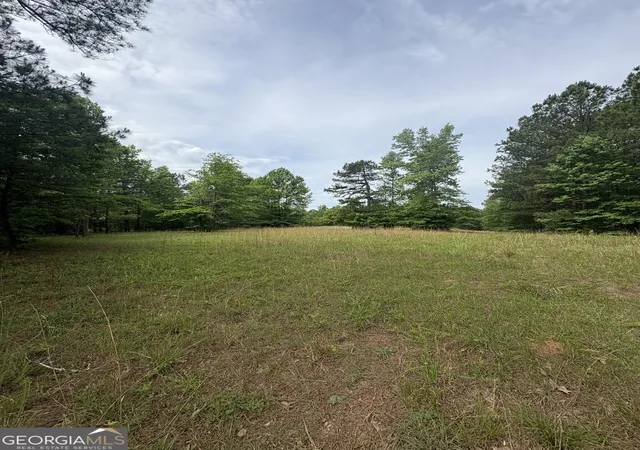 Homes for sale in Greenville, GA | 0 Primrose Cir, Greenville, GA 30222 | MLS# 10770639