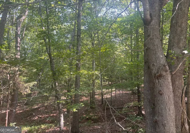 5th image of 13 Jewell Dr Se, Rome, GA 30161 | MLS# 10804661