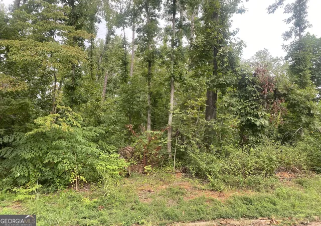 Land for sale at 1529 Cabin Crk Trl, Griffin, GA 30223 | MLS# 10374279 | Listing updated on 2025-03-17