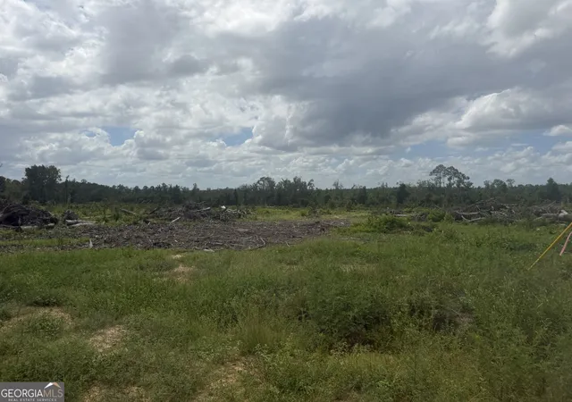 25th image of Tbd Leman Rd, Oak Park, GA 30401 | MLS# 10823777