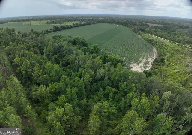 3rd image of Tbd Leman Rd, Oak Park, GA 30401 | MLS# 10823777