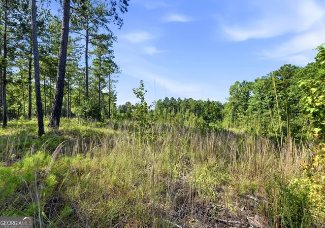 1st image of 704 Giles Rd, Forsyth, GA 31029 | MLS# 10824576