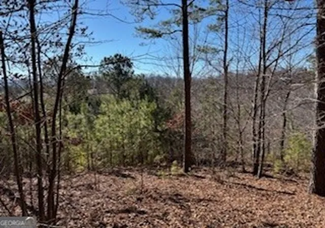 2nd image of 0 High Mile Ln, Blairsville, GA 30512 | MLS# 10755378