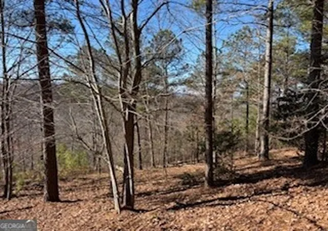 3rd image of 0 High Mile Ln, Blairsville, GA 30512 | MLS# 10755378