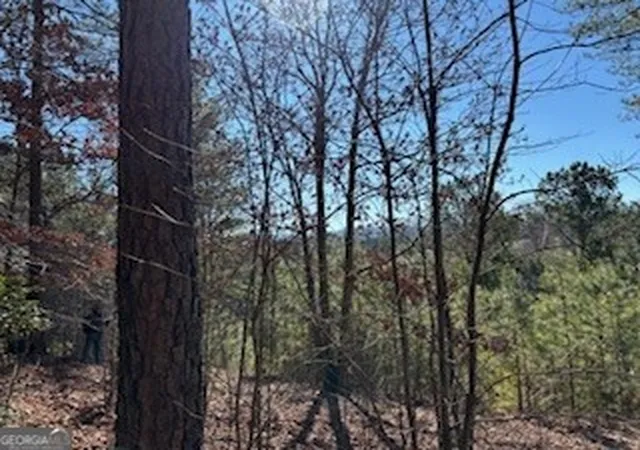 4th image of 0 High Mile Ln, Blairsville, GA 30512 | MLS# 10755378