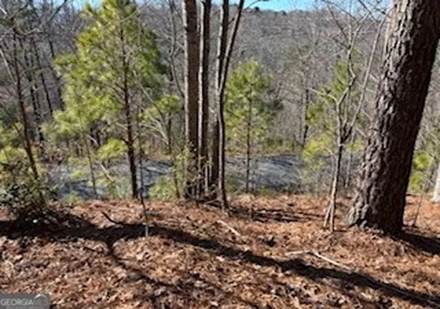 5th image of 0 High Mile Ln, Blairsville, GA 30512 | MLS# 10755378