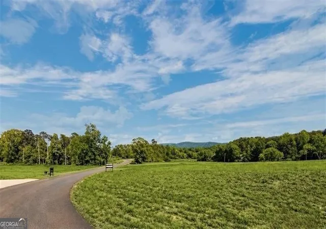 1st image of 110 Palisade Dr, Rydal, GA 30171 | MLS# 10814882